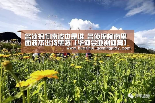 华体会电竞