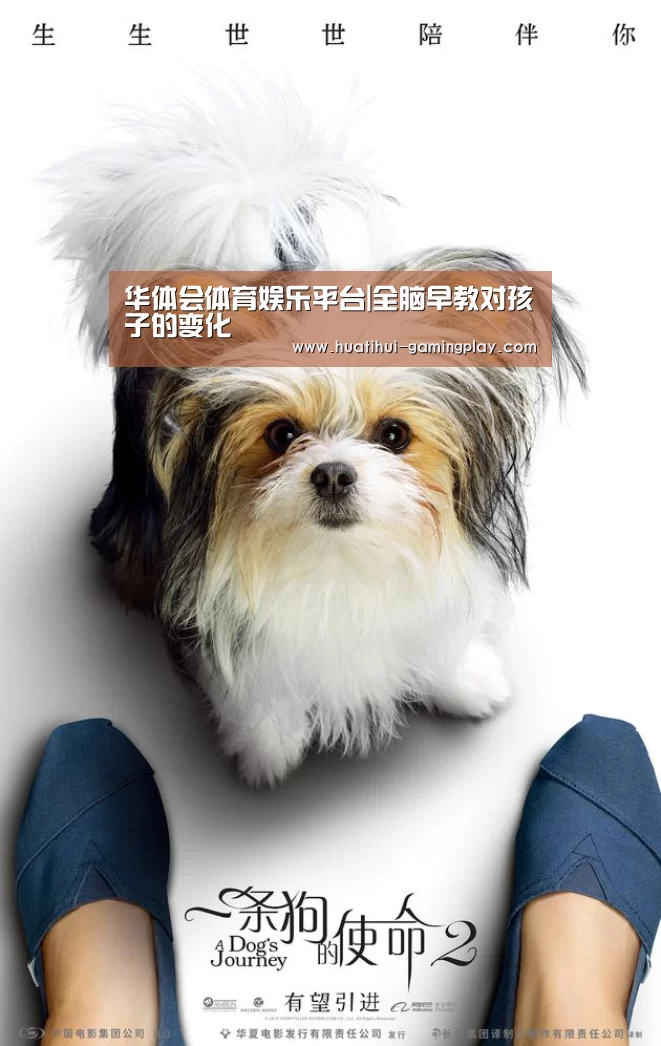 华体会电竞