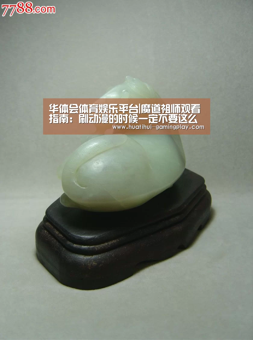 华体会体育娱乐平台