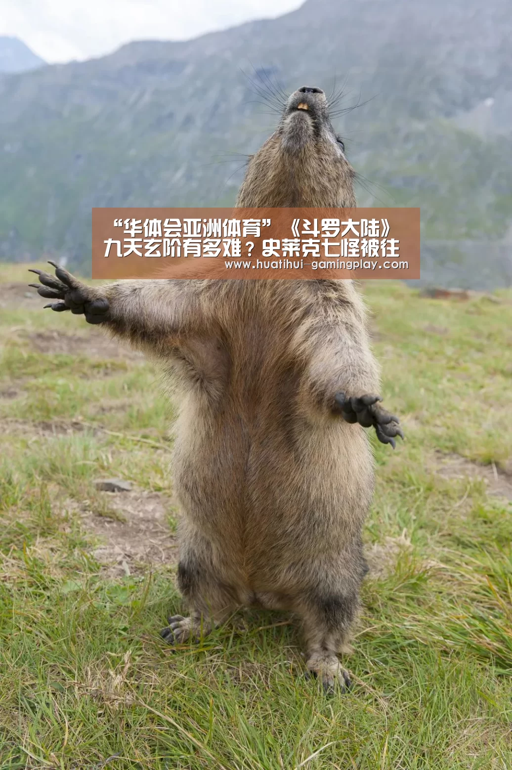 “华体会亚洲体育”《斗罗大陆》九天玄阶有多难?史莱克七怪被往死里虐(图2) 华体会体育娱乐平台