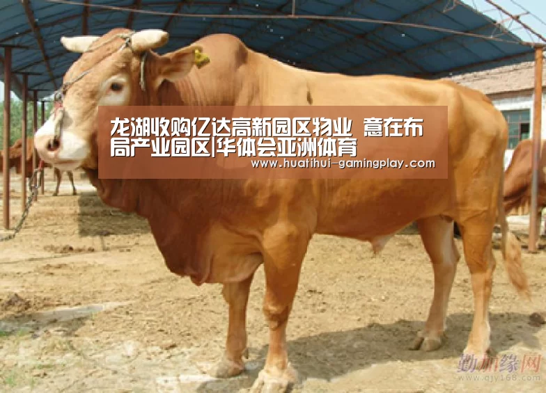 华体会亚洲体育